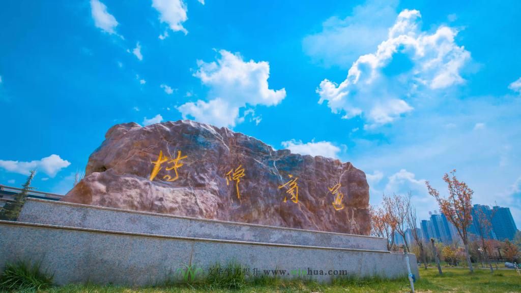 兰州财经大学2025年高等学历继续教育招生简章(图7)